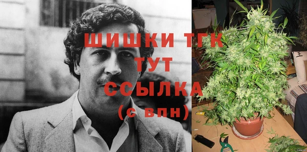 трава Армянск