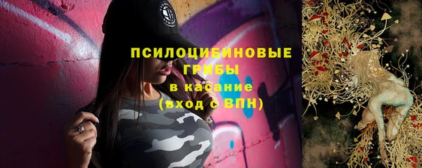 трава Армянск