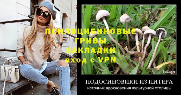 трава Армянск